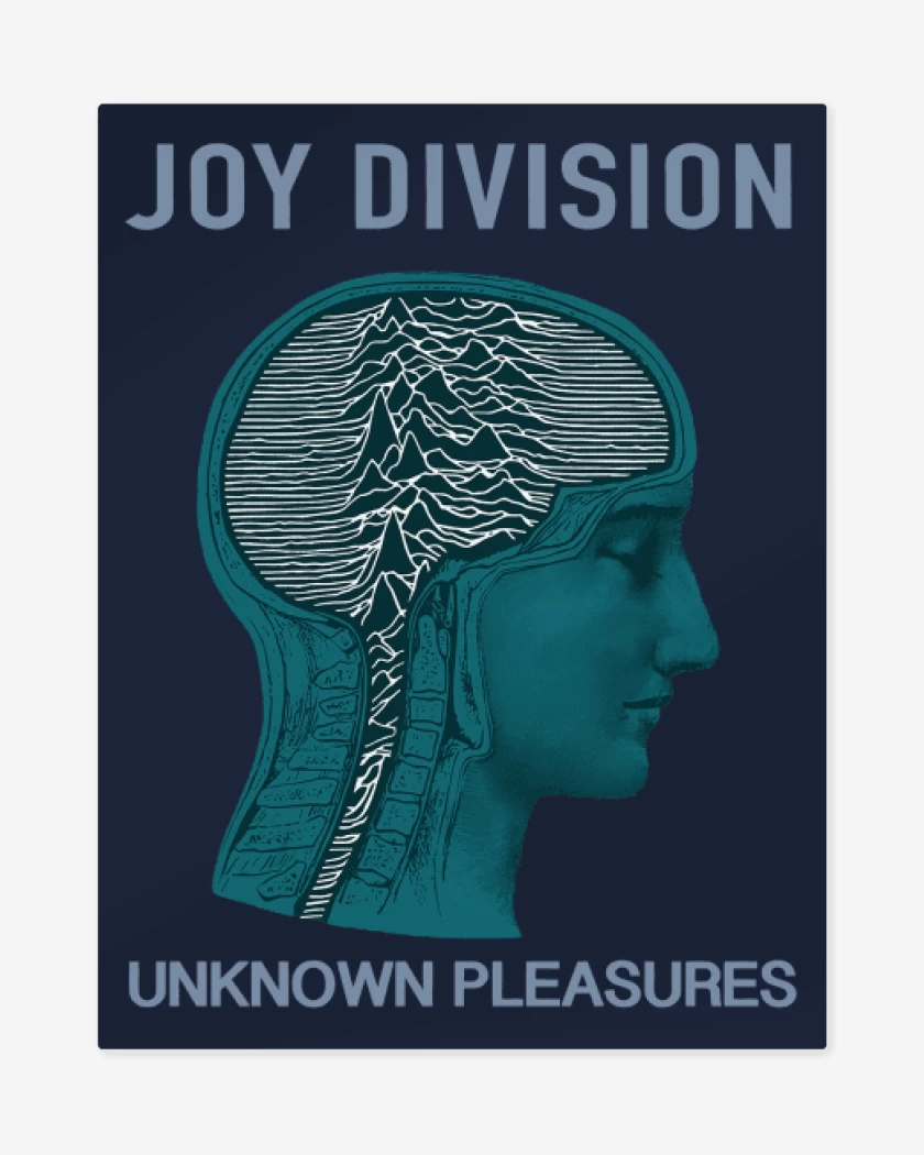 Print metalico Azul Marino de Joy Division unknown pleasures