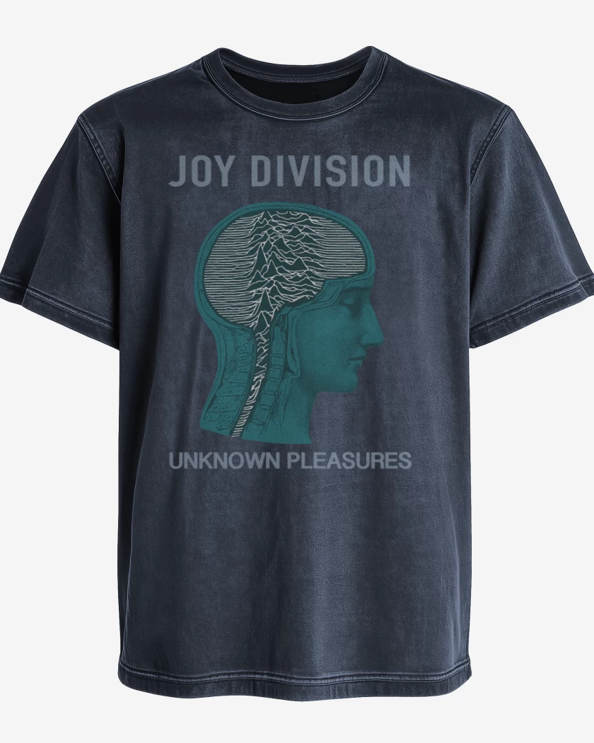 Polera desgastada Joy Division unknown pleasures