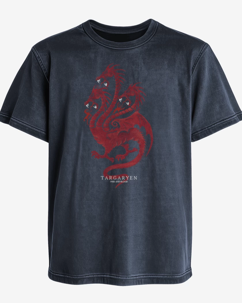 Polera desgastada Targaryen fire and blood