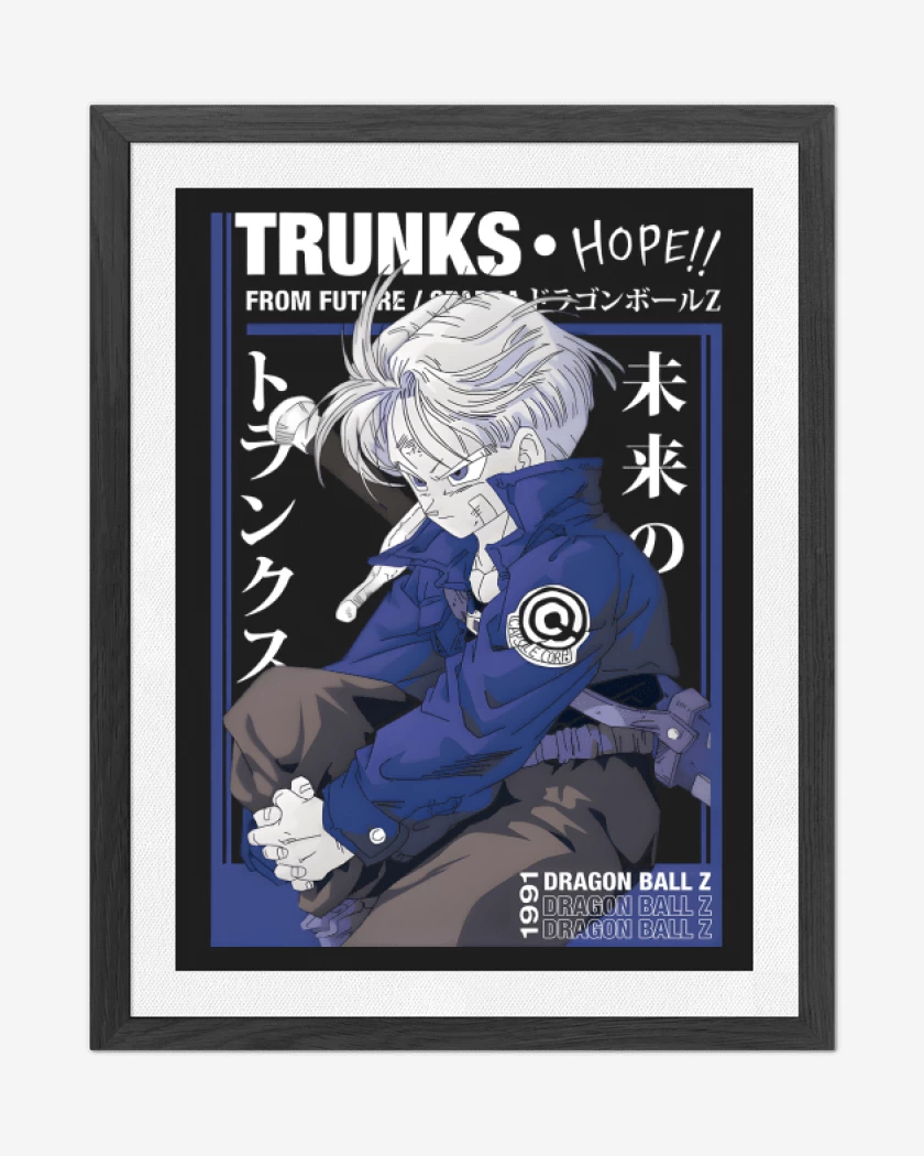 Cuadro decorativo Negro de Trunks del Futuro