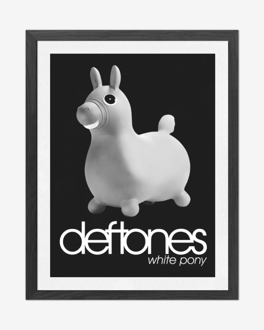 Cuadro decorativo White Pony