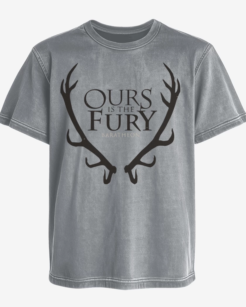 Polera desgastada Ours is the fury