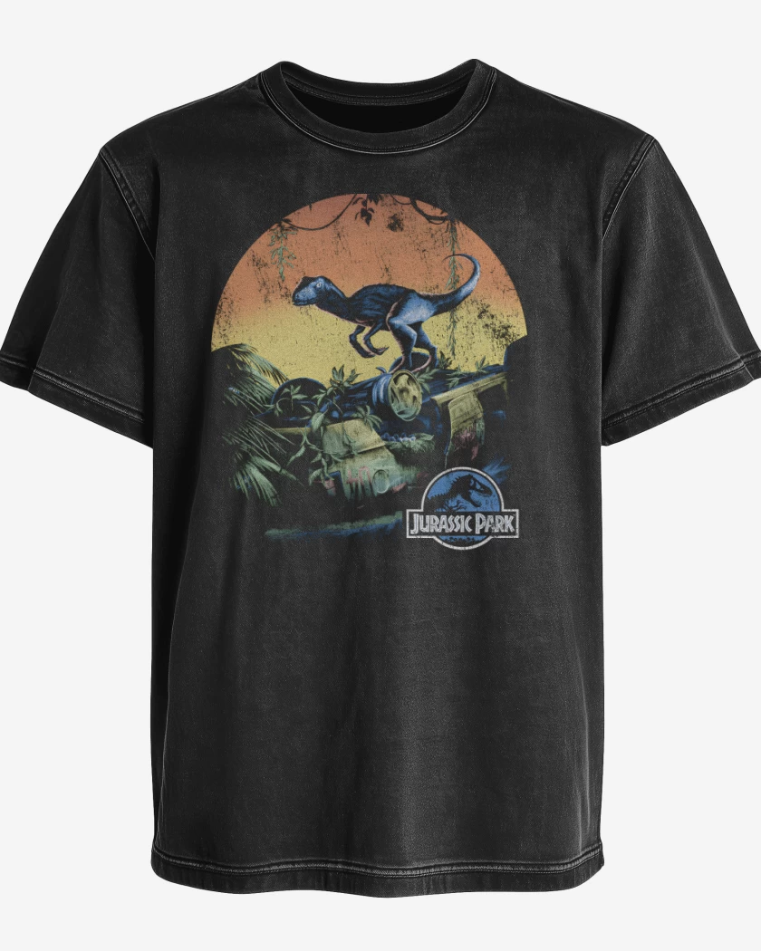 Polera desgastada Negro de Raptor