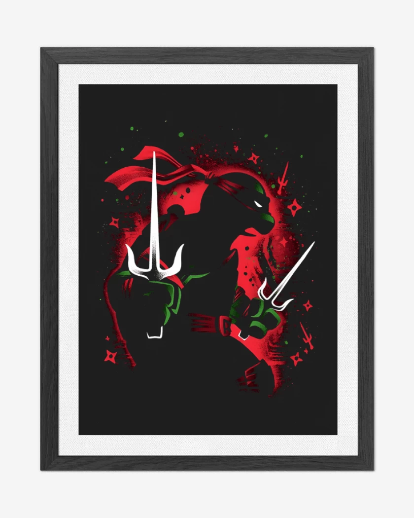 Cuadro decorativo Tortuga Raphael
