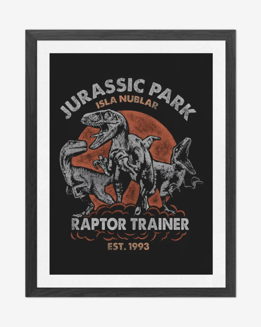 Cuadro decorativo Entrenador de Raptors 