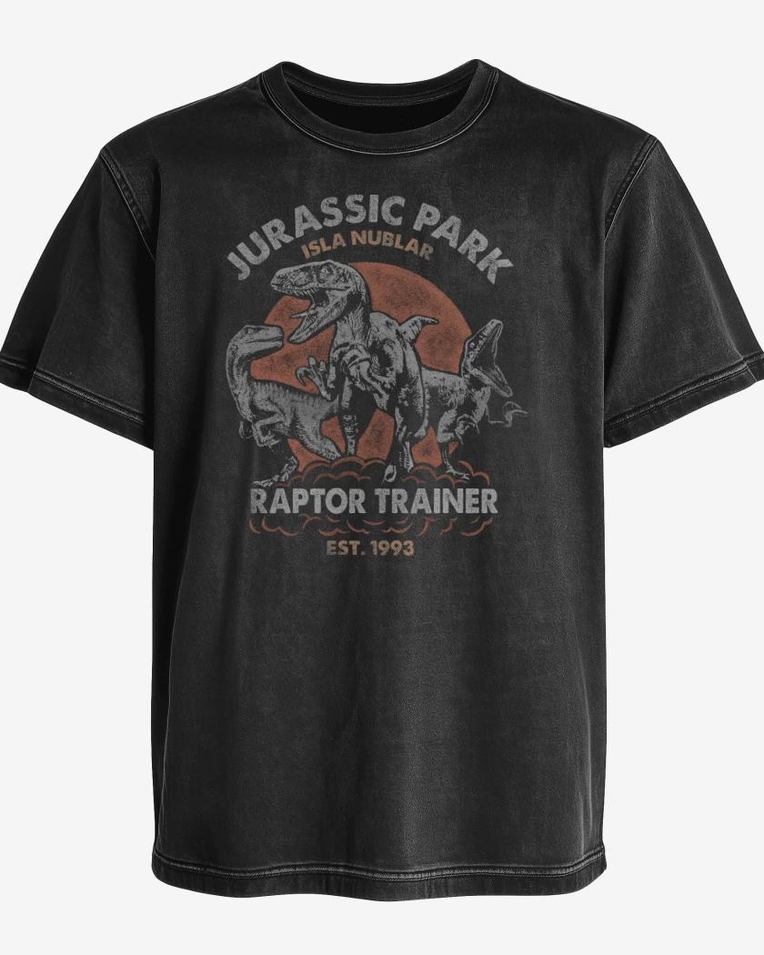 Polera desgastada Entrenador de Raptors 