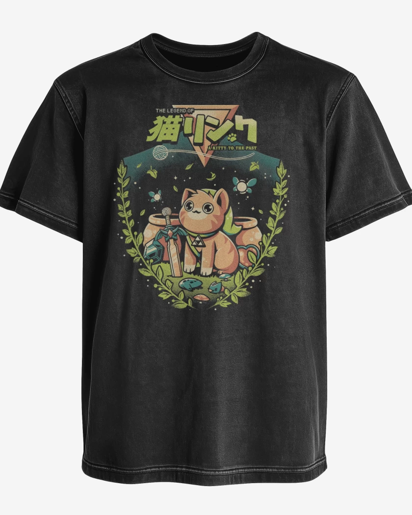 Polera desgastada Un Gatito del Pasado