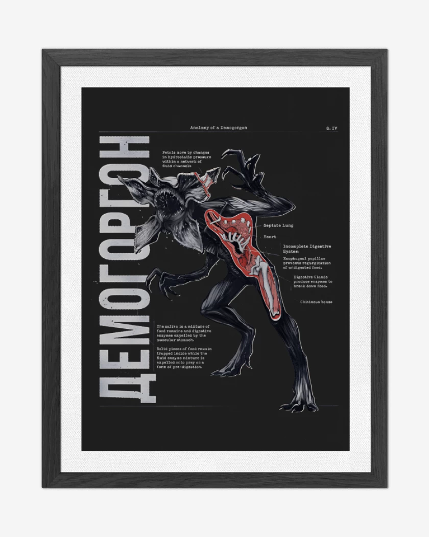 Cuadro decorativo Anatomía del Demogorgon