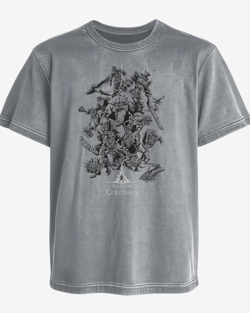 Polera desgastada Shadow of the Colossus