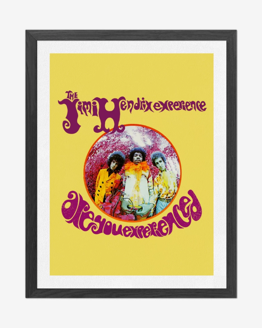 Cuadro decorativo Are You Experienced