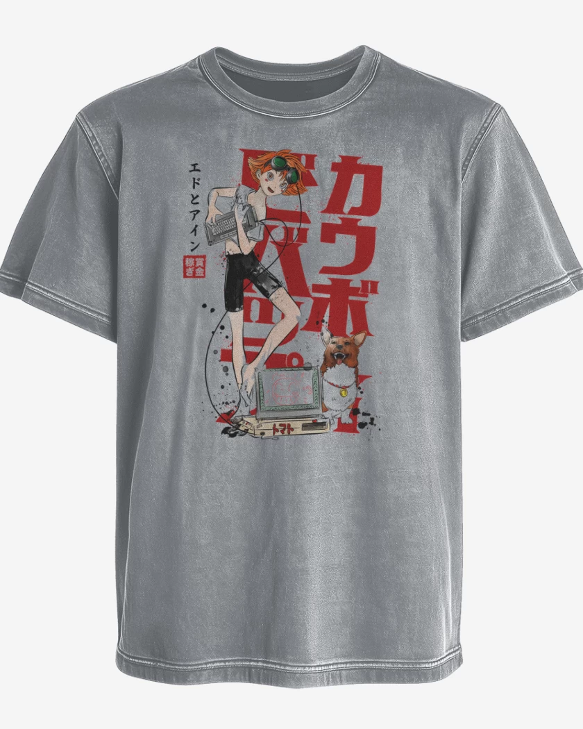 Polera desgastada Ed & Ein