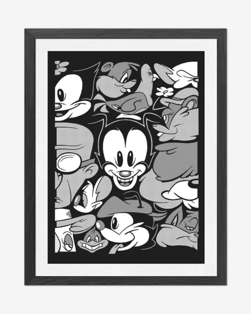 Cuadro decorativo Animaniacs B&W 