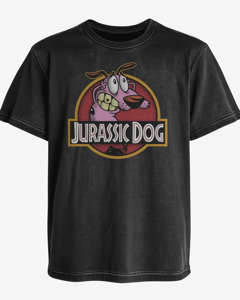 Polera desgastada Coraje Park