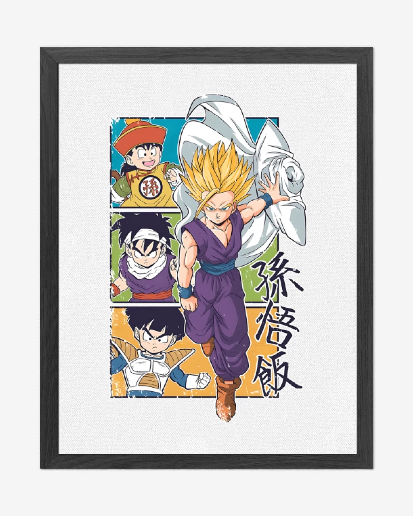 Cuadro decorativo Blanco de Son Gohan 