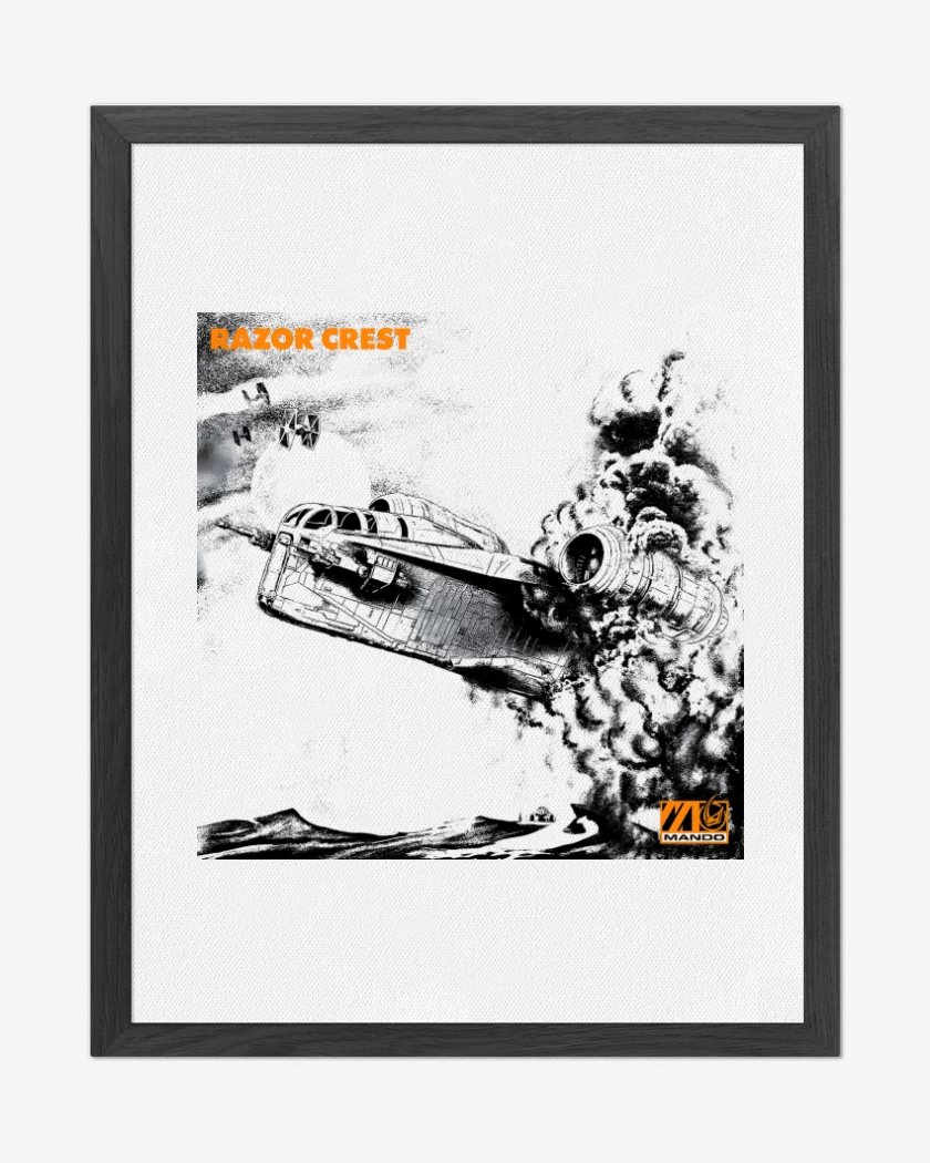 Cuadro decorativo Blanco de Razor Crest