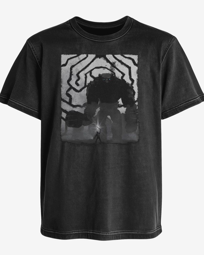 Polera desgastada Shadow of the Colossus 3