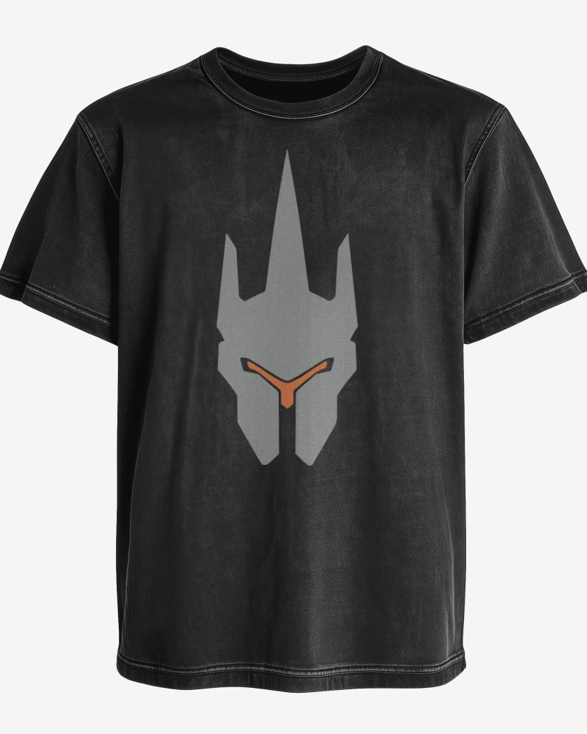 Polera desgastada Reinhardt
