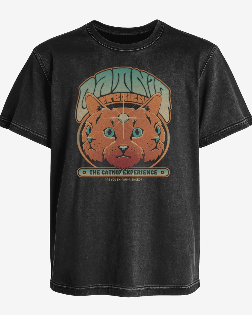Polera desgastada The Catnip experience