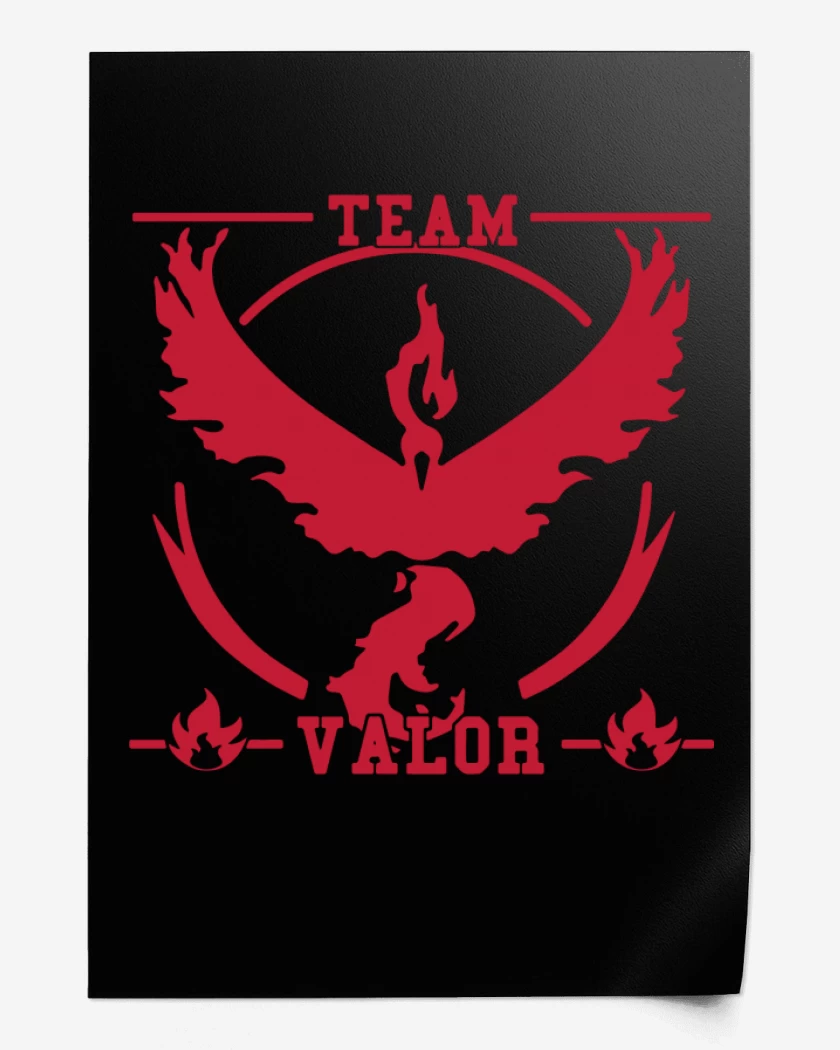 Print Negro de Team Valor