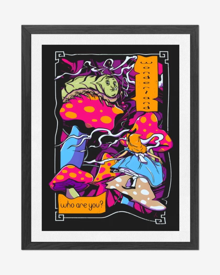 Cuadro decorativo Who are you?