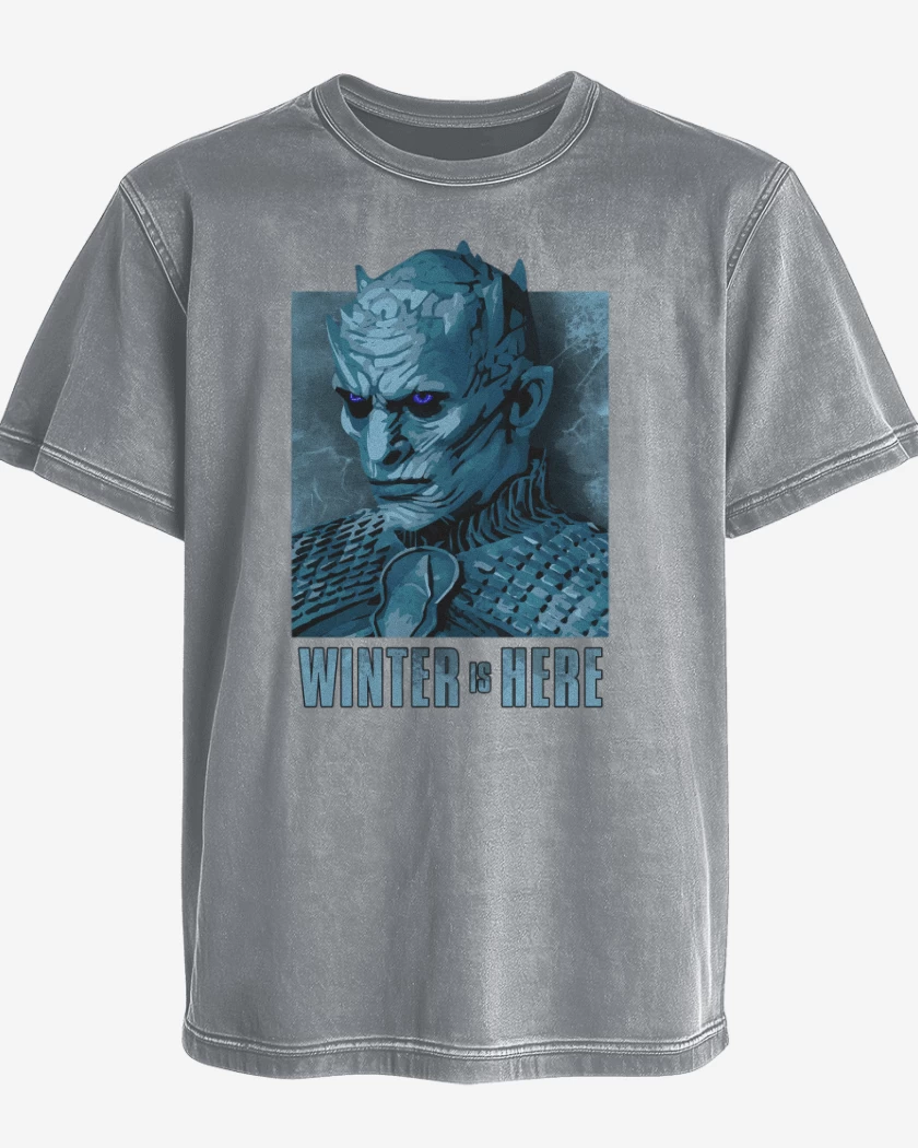 Polera desgastada Gris Melange de Winter is here