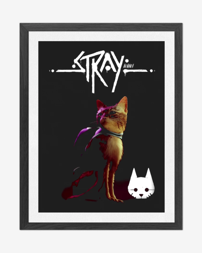 Cuadro decorativo Negro de Gatito Stray