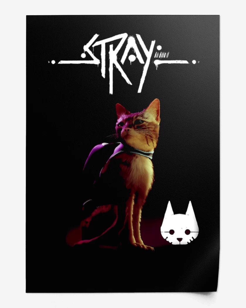Print Gatito Stray