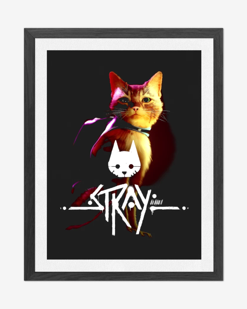 Cuadro decorativo Negro de Stray