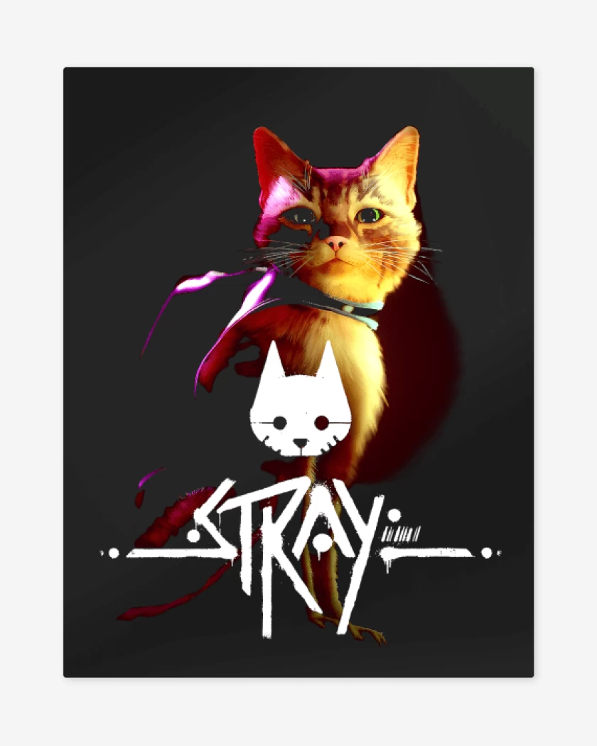 Print metalico Negro de Stray