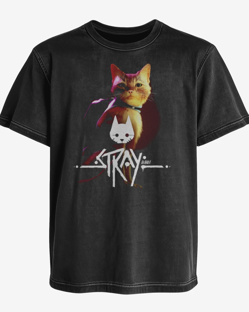Polera desgastada Stray