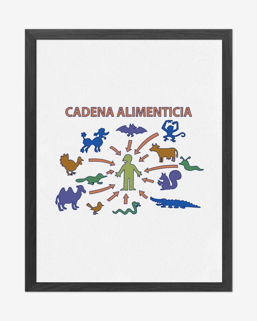 Cuadro decorativo Blanco de Cadena Alimenticia