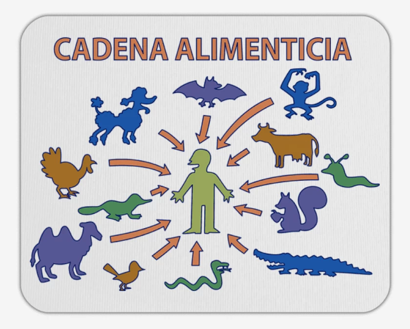 Mousepad Cadena Alimenticia
