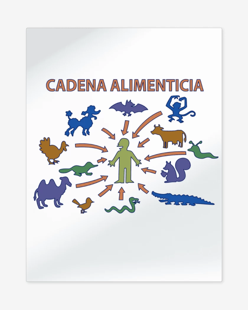 Print metalico Blanco de Cadena Alimenticia