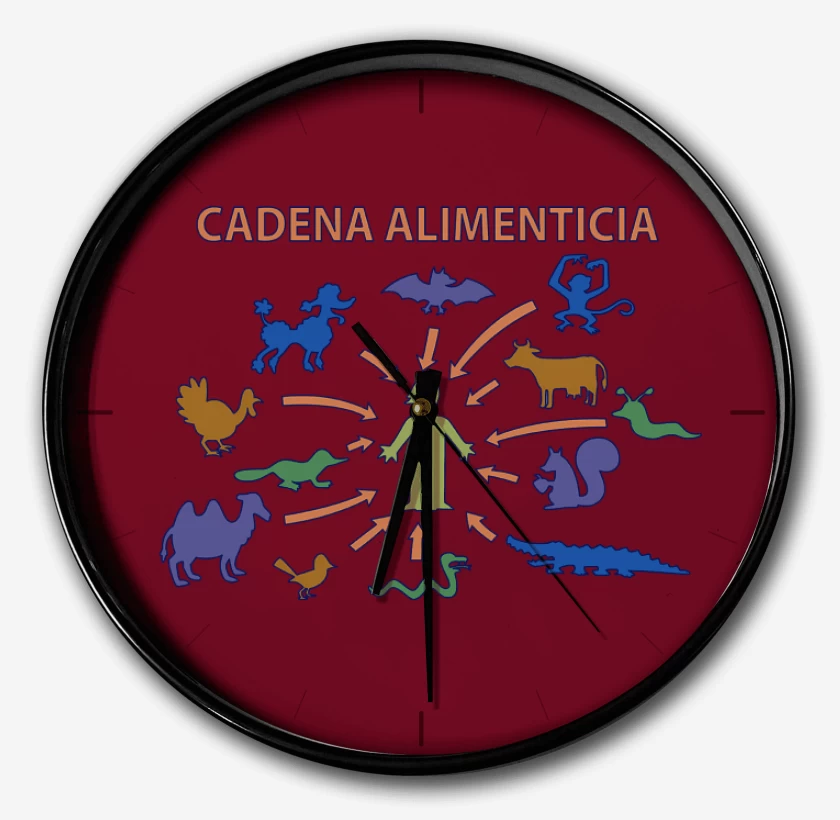 Reloj Cadena Alimenticia