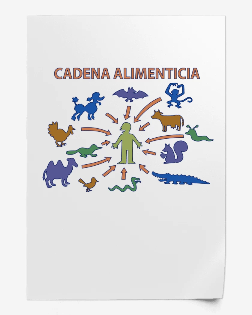 Print Cadena Alimenticia
