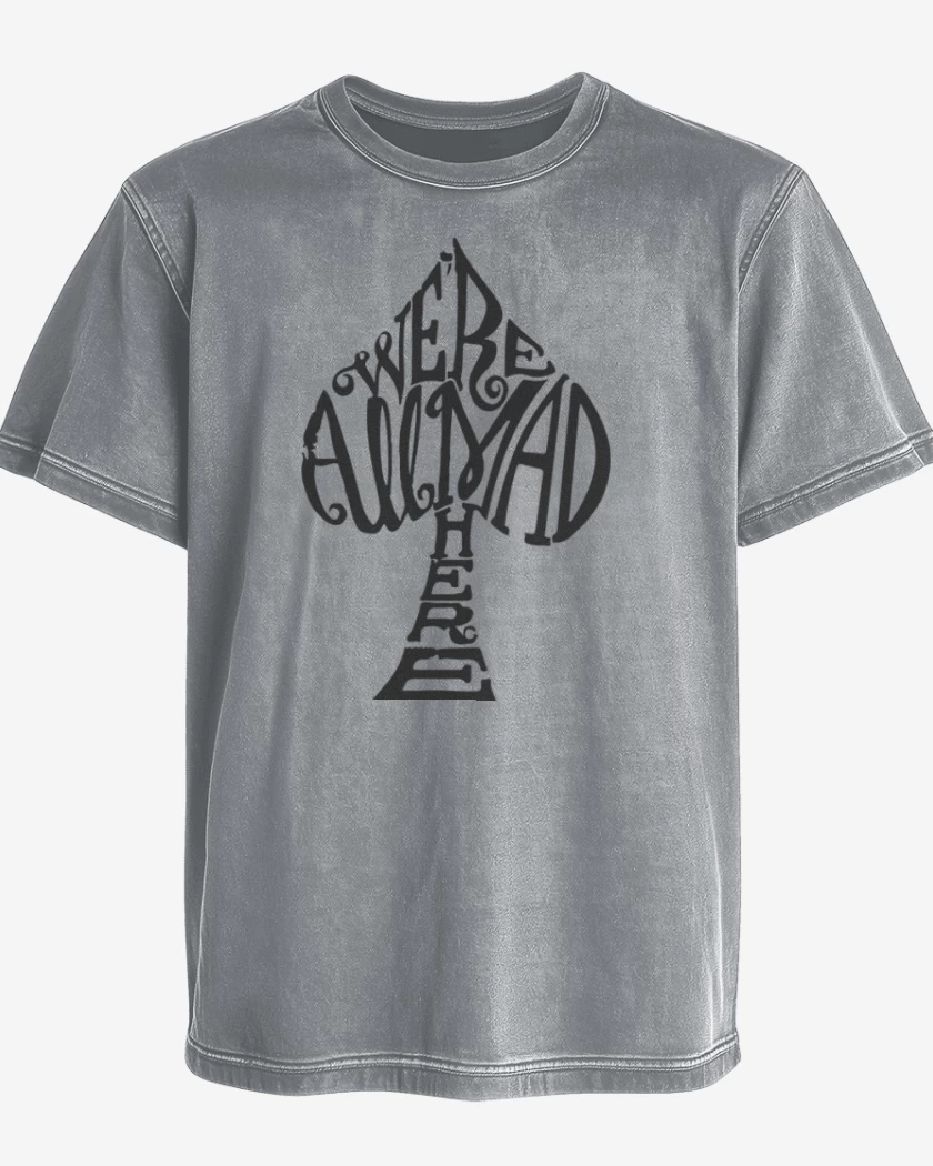 Polera desgastada Gris Melange de Pica Alice