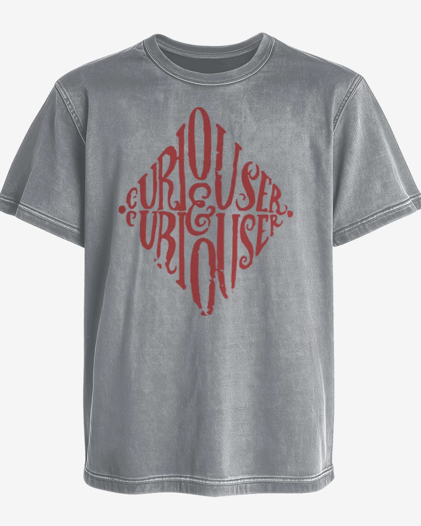 Polera desgastada Gris Melange de Diamante Alice