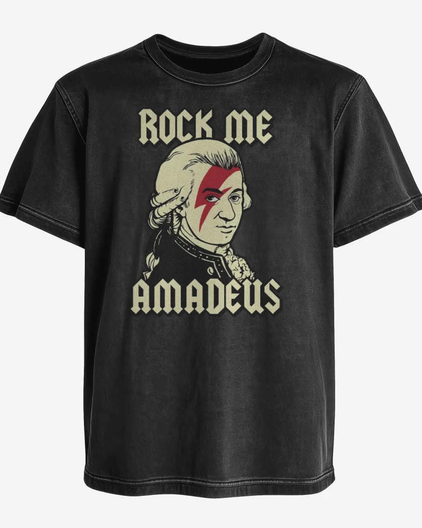 Polera desgastada Amadeus