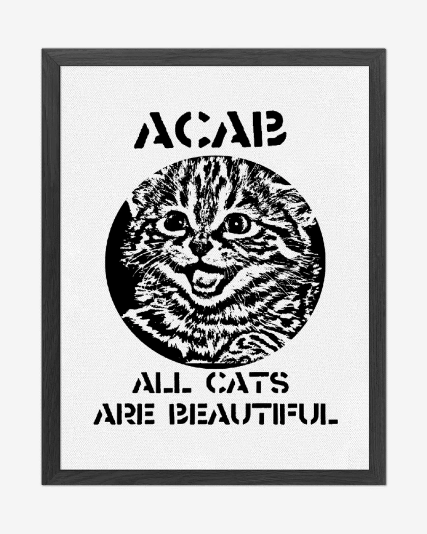 Cuadro decorativo All Cat Are Beautiful