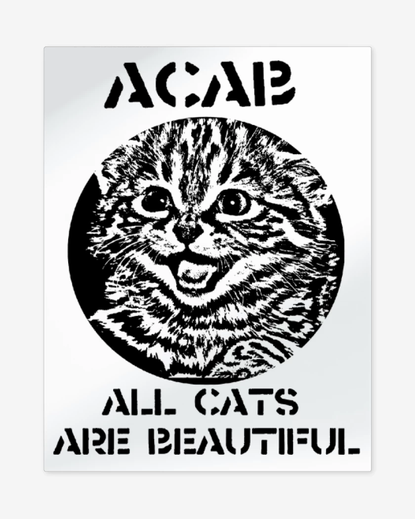 Print metalico All Cat Are Beautiful