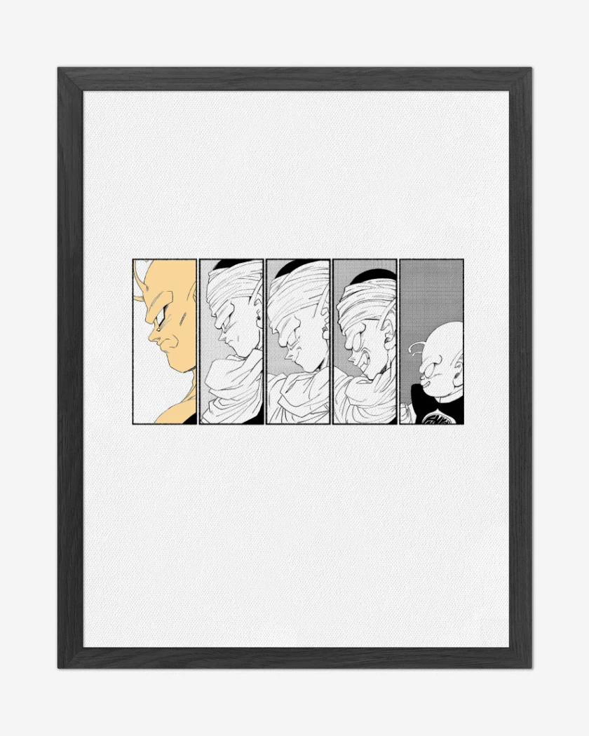 Cuadro decorativo Piccolo Evolution 