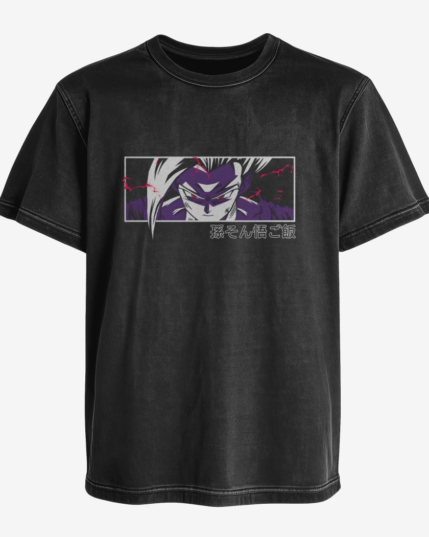 Polera desgastada Gohan Furia