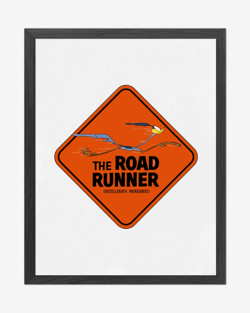 Cuadro decorativo Blanco de The Road Runner