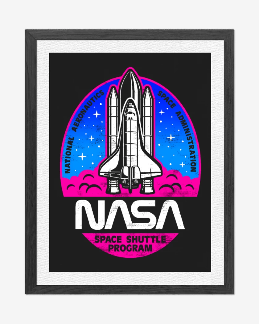 Cuadro decorativo Space shuttle program