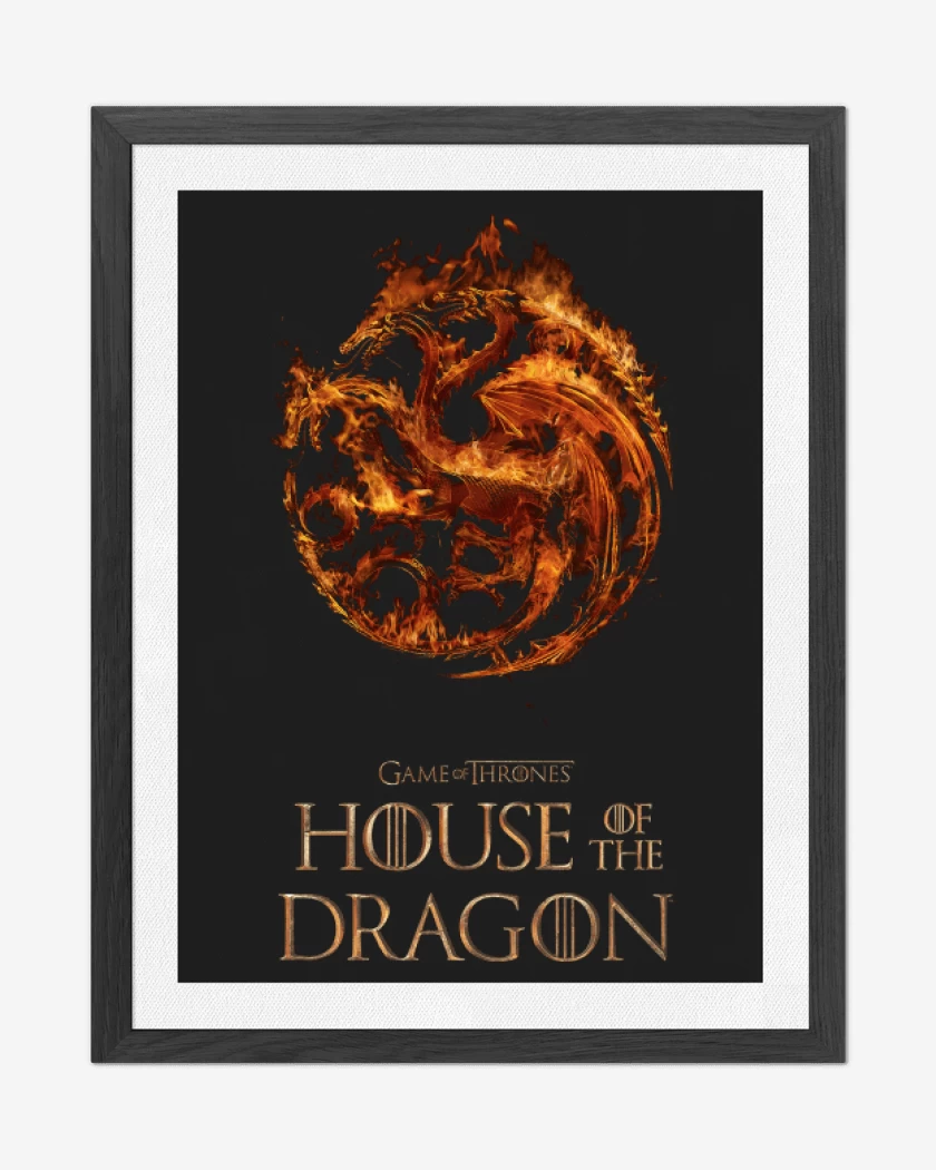 Cuadro decorativo Casa del Dragon