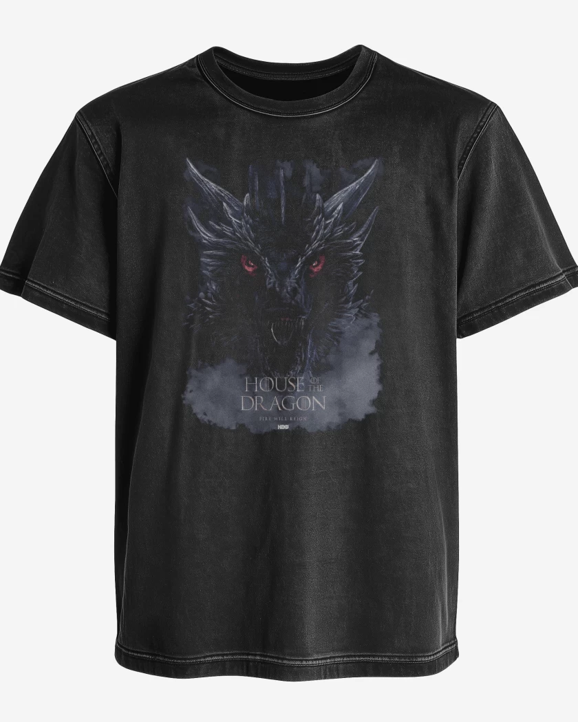 Polera desgastada Balerion