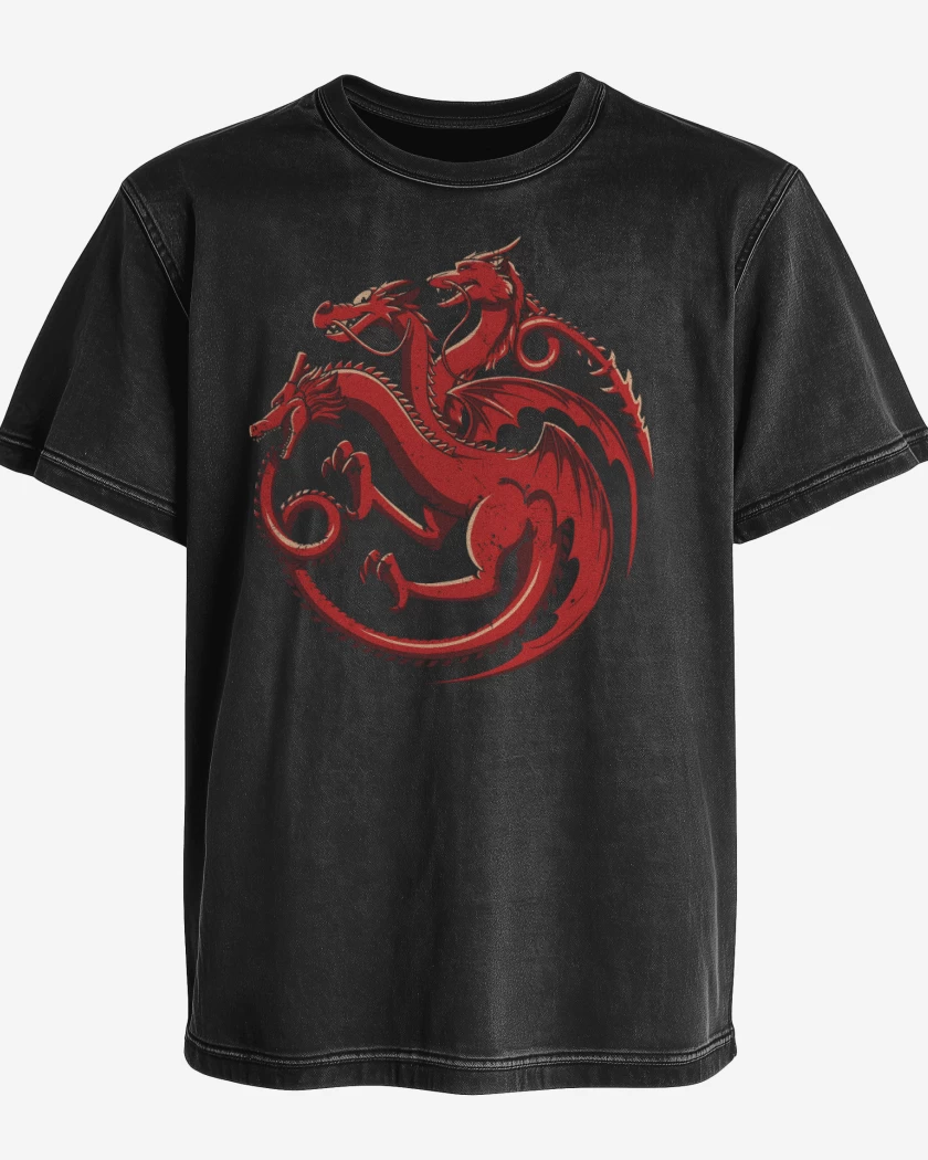 Polera desgastada Dragones Animados