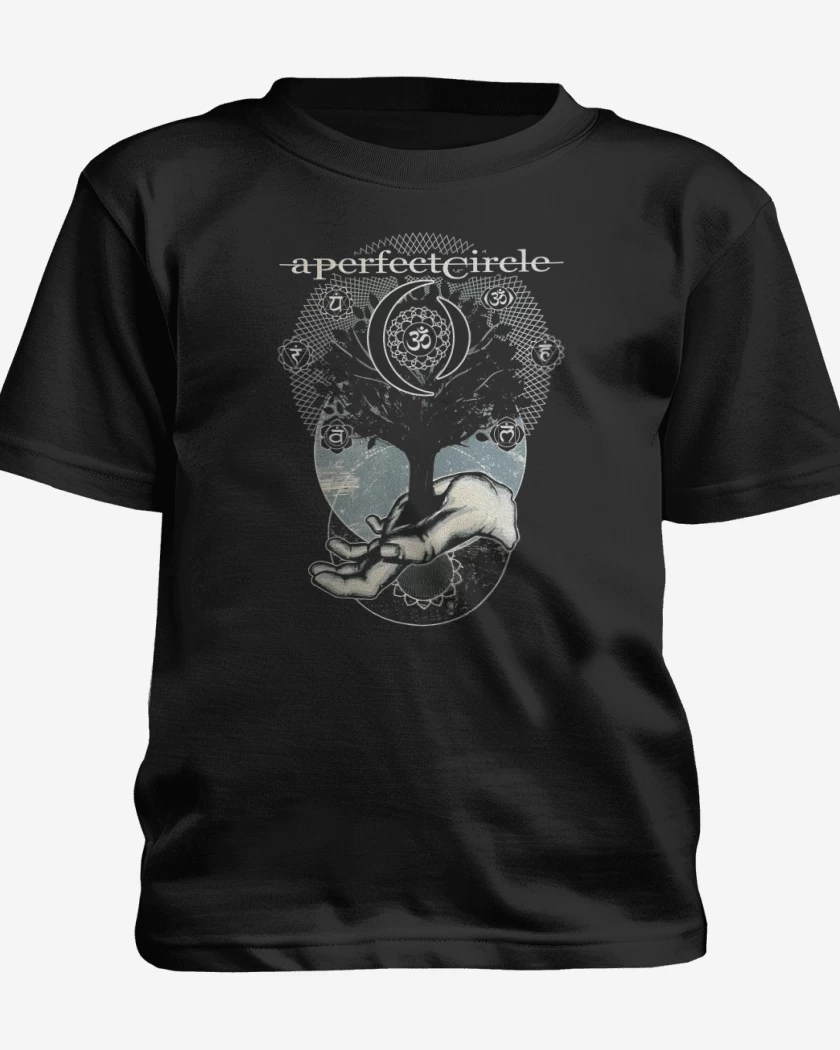 Polera de niño Negro de A perfect circle 2