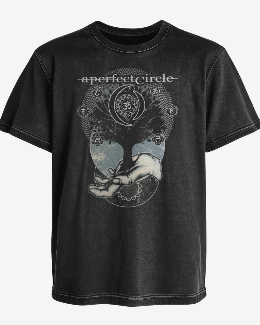 Polera desgastada A perfect circle 2