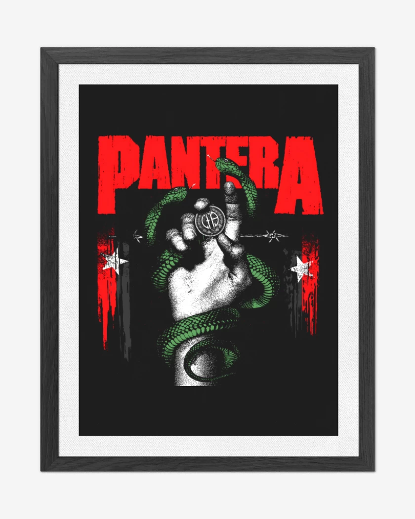 Cuadro decorativo Negro de Pantera 2022